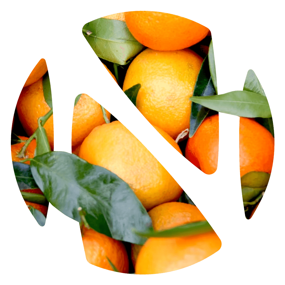 Logo naranja